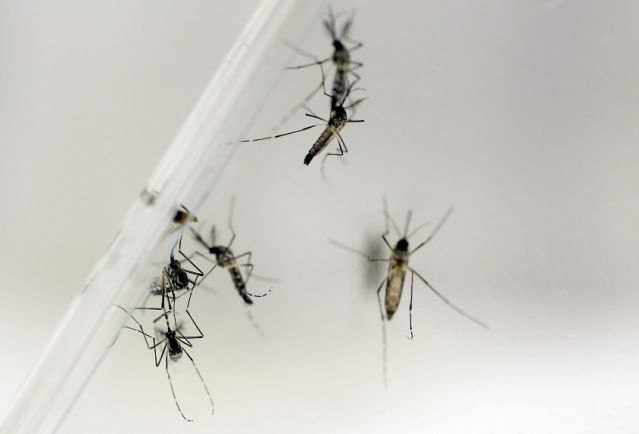 Colombia ha registrado más de 20 mil 200 casos de zika en todo el país