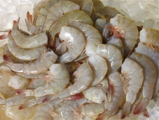 Rusia aumente importación de camarón ecuatoriano