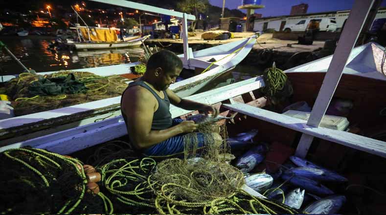 La fecha coincide con la eliminación de la pesca industrial de arrastre, práctica que ha destrozado ecosistemas en el Mar Mediterráneo y que era replicada en Venezuela por empresas privadas.