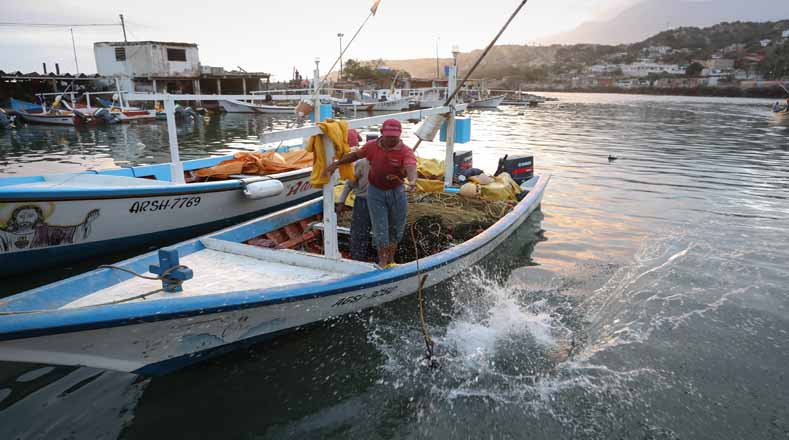 Desde Playa Verde en el estado Vargas (norte-centro) cada día zarpan cientos de pescadores artesanales al mar. 