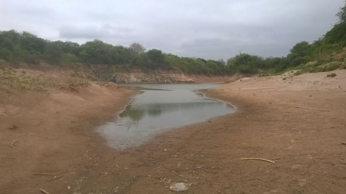 El Congreso de Paraguay declaró la emergencia ambiental en el área de influencia del río por un periodo de 150 días.