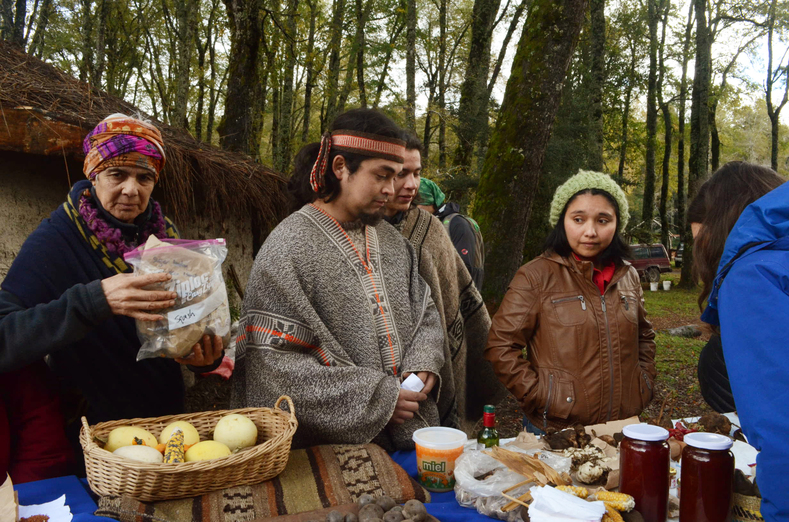 Mapuche community members engaging in barter and exchange.