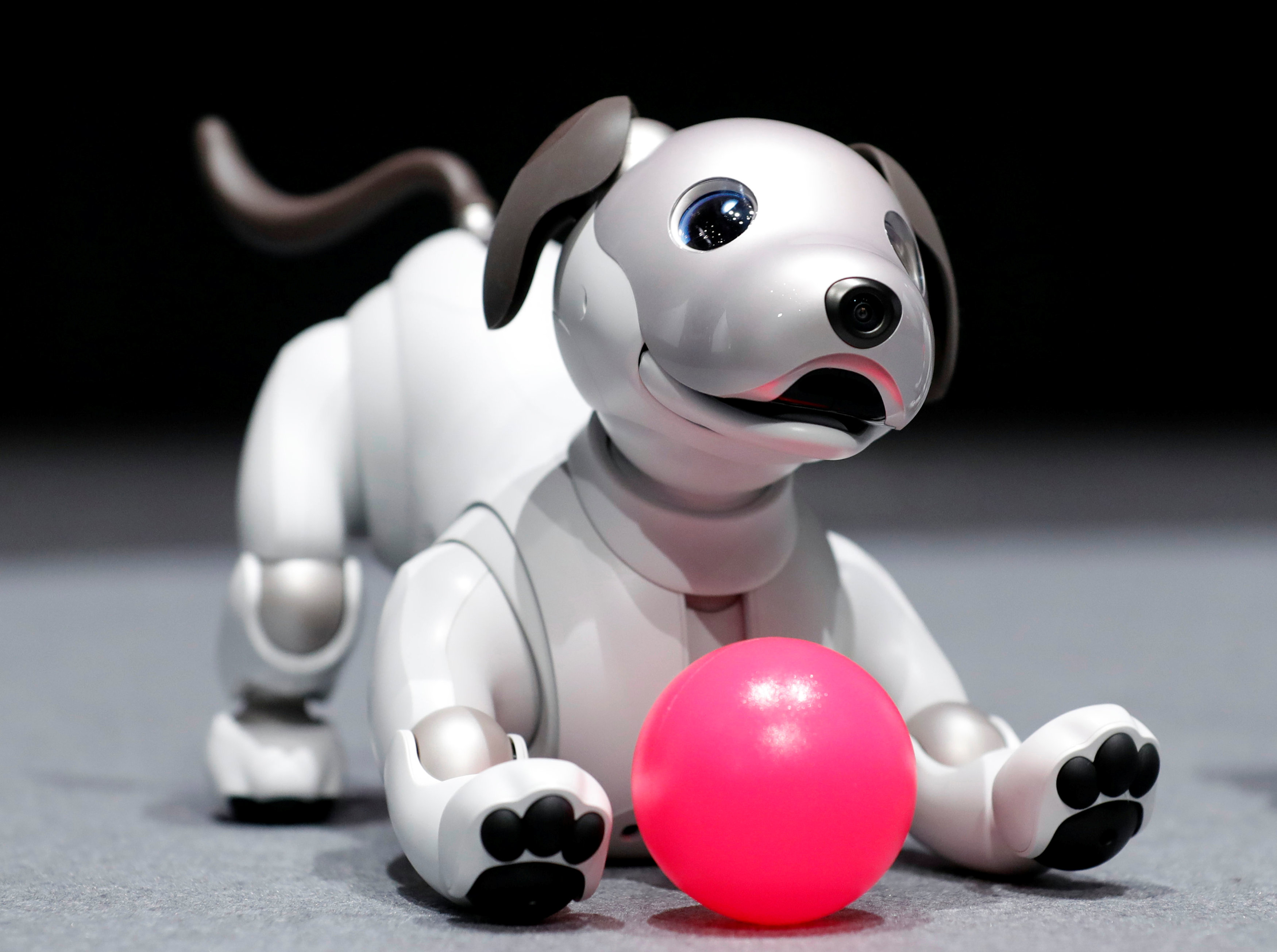 Adopta a un perro robot: la iniciativa de Sony para dar una