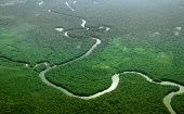  La Amazonia es la fuente de biodiversidad más grande que existe y uno de los factores más determinantes en la salud de nuestro planeta.