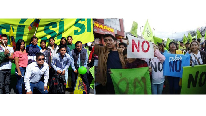 Qué opinan los ecuatorianos sobre la consulta popular? | Noticias | teleSUR
