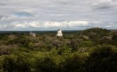 El proyecto mostrará los hallazgos de un grupo de expertos cerca del parque arqueológico Tikal, al norte de Guatemala.