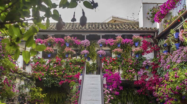 La Fiesta de los Patios es un concurso que se realiza todos los años en la ciudad Córdoba, España. Este año, 50 vivienda abrirán sus puestas desde el 1 al 13 de mayo para exponer la diversidad de plantas que adornan coloridamente sus patios.