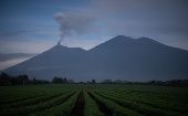 Debido a las recientes actividades volcánicas se registran pérdidas millonarias en los cultivos de maíz y café. 