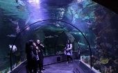 Conoce el impresionante acuario multidimensional de Irán 
