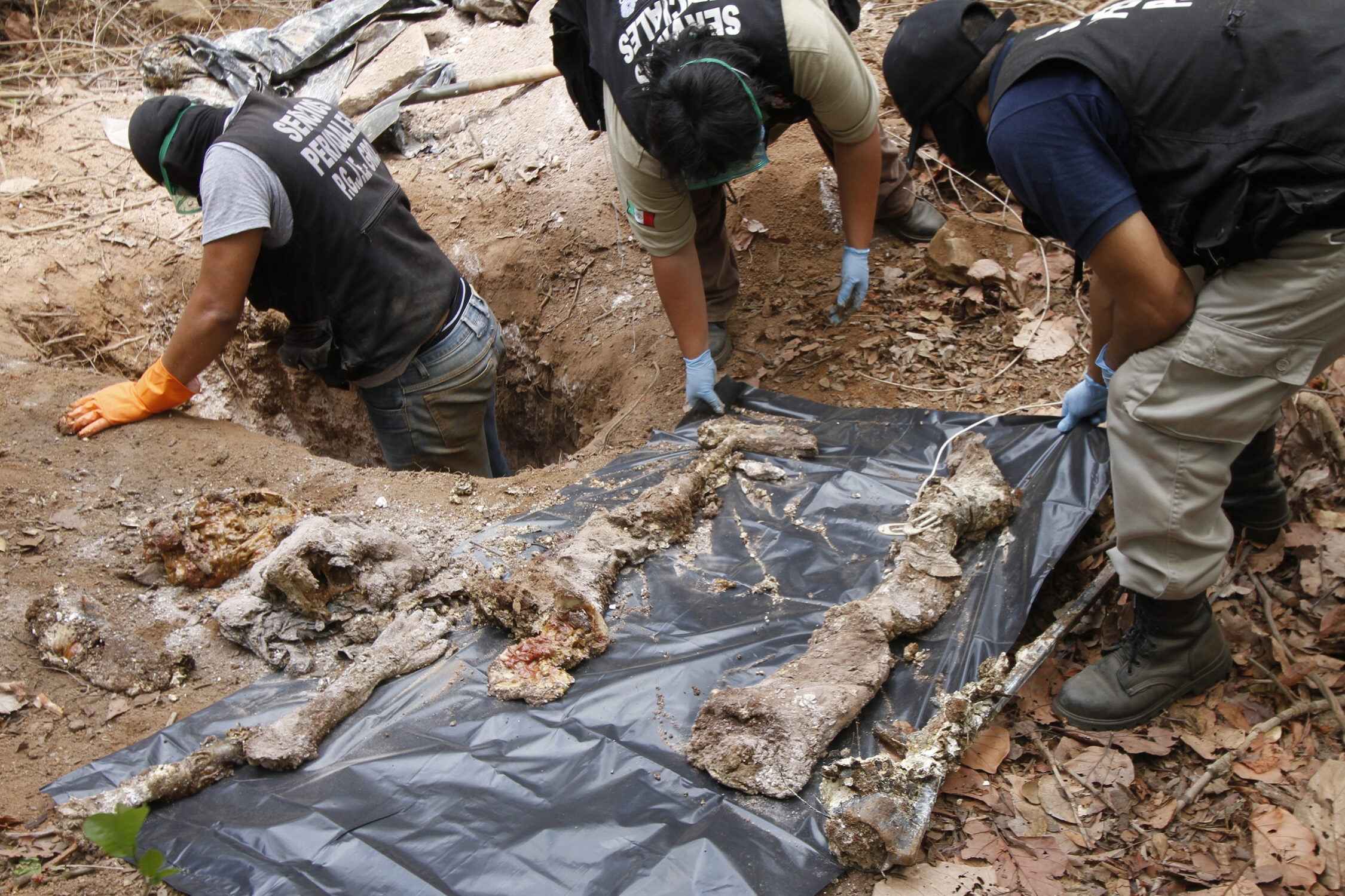 En los últimos seis años, solo en Jalisco, se han exhumado 243 cuerpos de 152 fosas clandestinas.