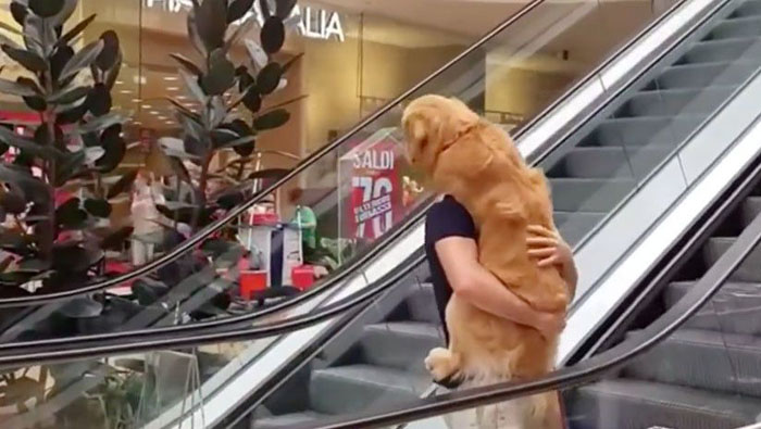 El animal, pese a su gran tamaño, se aferró a su dueño una vez que empezaron a subir en las escaleras automáticas.