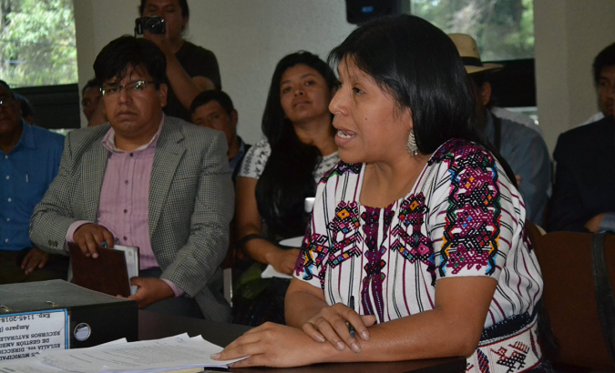 The Association of Mayan Lawyers says Cinco M didn't complete the necessary local consultations for the hydroelectric project.
