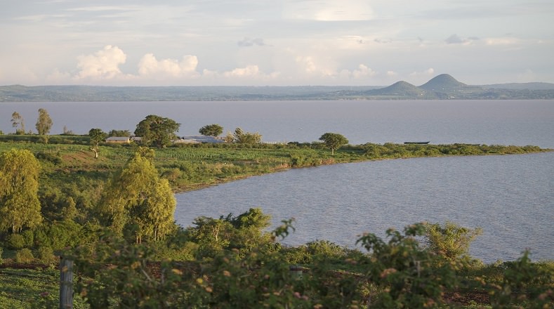 El Lago Victoria, también conocido como Victoria Nyanza, está ubicado en la zona centro-oriental de África entre Uganda, Tanzania y Kenia. Su superficie es de 69. 482 km². Es el tercer lago de agua dulce más grande del mundo y se encuentra en peligro por la contaminación ambiental y las aguas residuales, hecho que ha causado la pérdida del habitad del río y también la desaparición de especies endémicas del mismo.