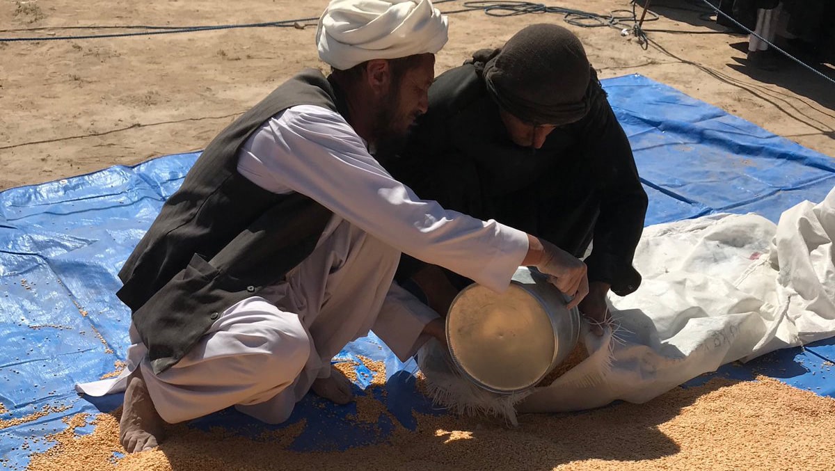 La ONU considera que los datos recolectados en Afganistán revelan una situación que puede convertirse en una hambruna.