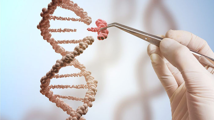 El estudio fue probado en 103 muestras humanas de ADN: 72 pertenecían a pacientes con cáncer y 31 a personas sanas.