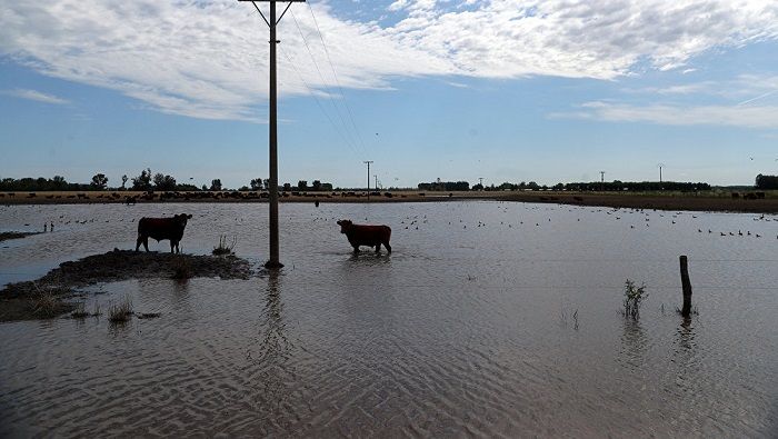 Autoridades de Argentina declaran emergencia hídrica en cinco provincias del país tras las inundaciones por temporales y tormentas. 