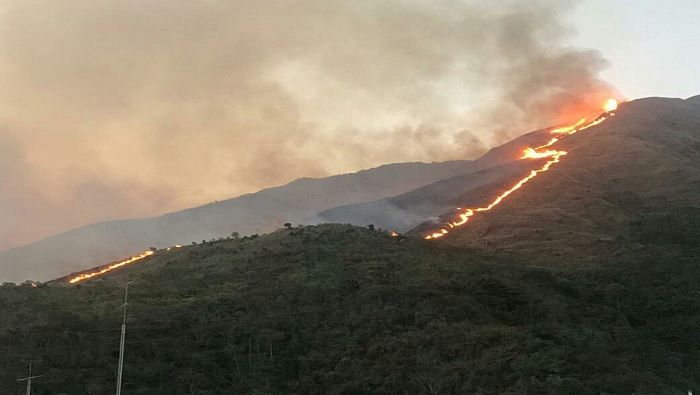 El incendio consumió 50 hectáreas del parque nacional Waraira Repano.