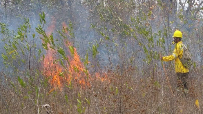 Tegucigalpa (capital hondureña) ha sido la mayor afectada con unos 74 incendios que destruyeron más de 670 hectáreas hasta la fecha.