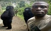 La administración del parque afirma que las gorilas consideran a Mathieu Shamavu y a Patrick Sadiki como sus padres. 