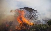 Las llamas lograron destruir una extensa área ganadera y agrícola que funcionaba en la aldea de Korok.