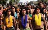 El principal factor de protesta es la desenfrenada deforestación en la Amazonia del país.
