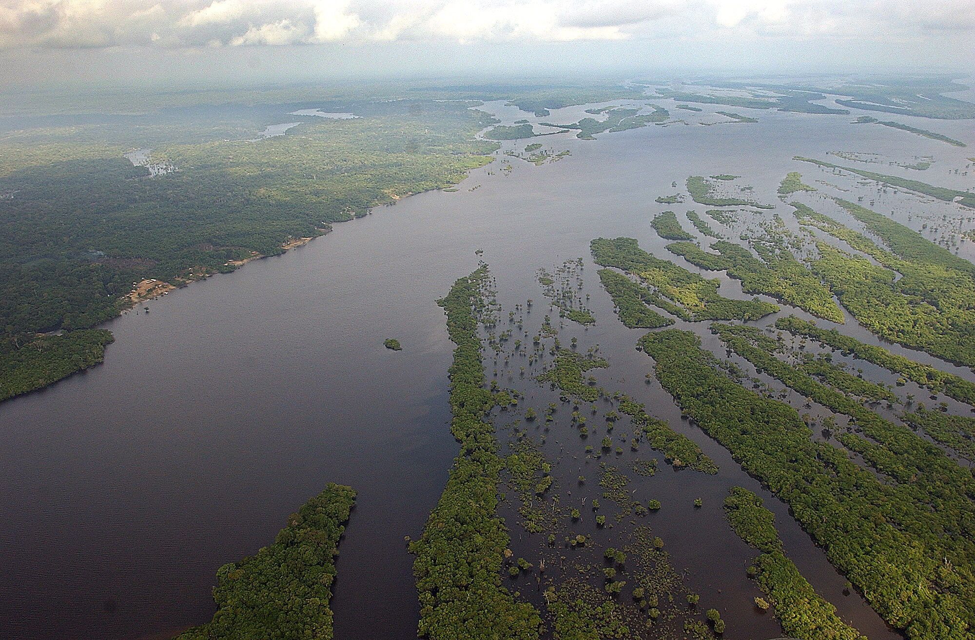 Noruega y Alemania aseguran que Bolsonaro no está realmente interesado en combatir la deforestación en la selva amazónica.