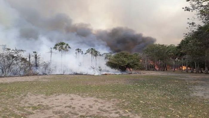 Las autoridades han precisado que más de 20 mil hectáreas de bosque también resultaron perjudicadas por el fuego.