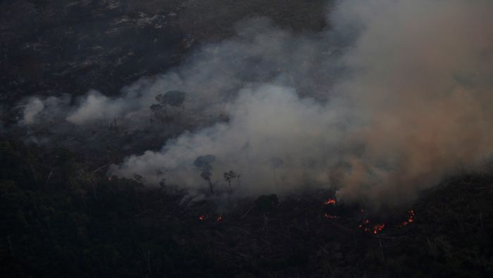 Las autoridades peruanas están en alerta ante la posibilidad de que los incendios forestales en la Amazonía brasileña se extiendan a la suya.