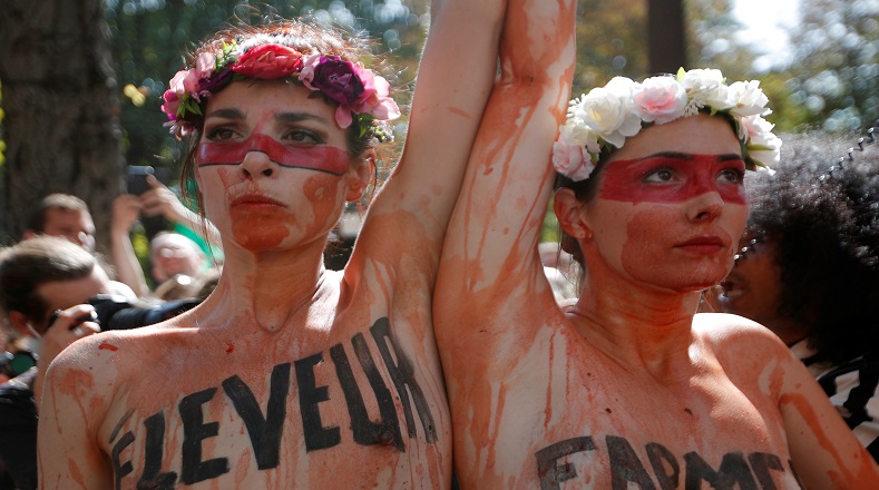 Francia es uno de los países con mayor número de manifestantes, ecologistas y defensores del medio ambiente que exigen se proceda de manera inmediata para detener los voraces incendios que acaban día a día con la selva amazónica. 