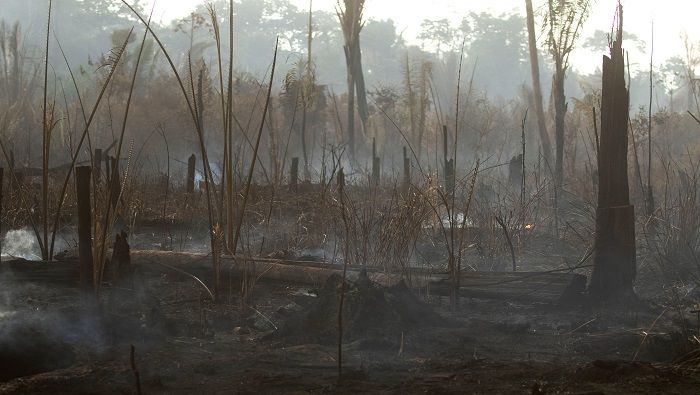 Desoladoras imágenes de la Amazonía ardiendo recorren el mundo.