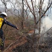 Amazonía en llamas: una terapia del shock