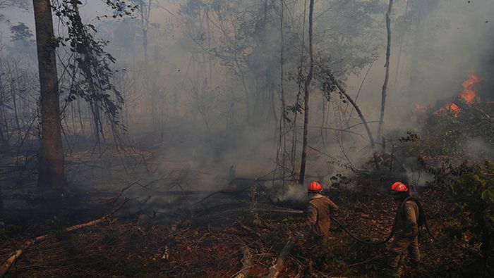 Bomberos brasileños hacen frente a los incendios forestales en la Amazonía.