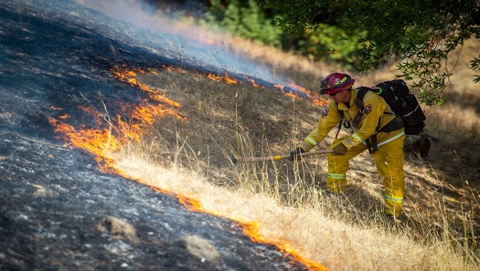 El pasado viernes, los bomberos de California pudieron tomar la ofensiva contra dos incendios forestales importantes en los extremos opuestos del estado, debido a los vientos decrecientes.