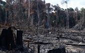 El Gobierno brasileño responsabilizó de este importante incremento porcentual de deforestación a la práctica de actividades económicas ilícitas en la selva amazónica.