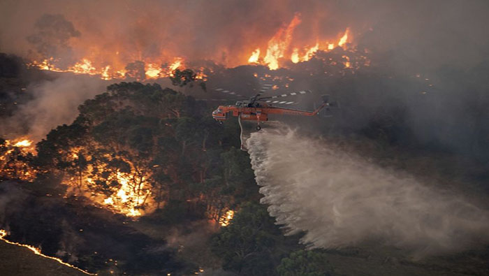 Más de 130 incendios se registran todavía en Nueva Gales del Sur, en el  se han quemado más de cinco millones de hectáreas.