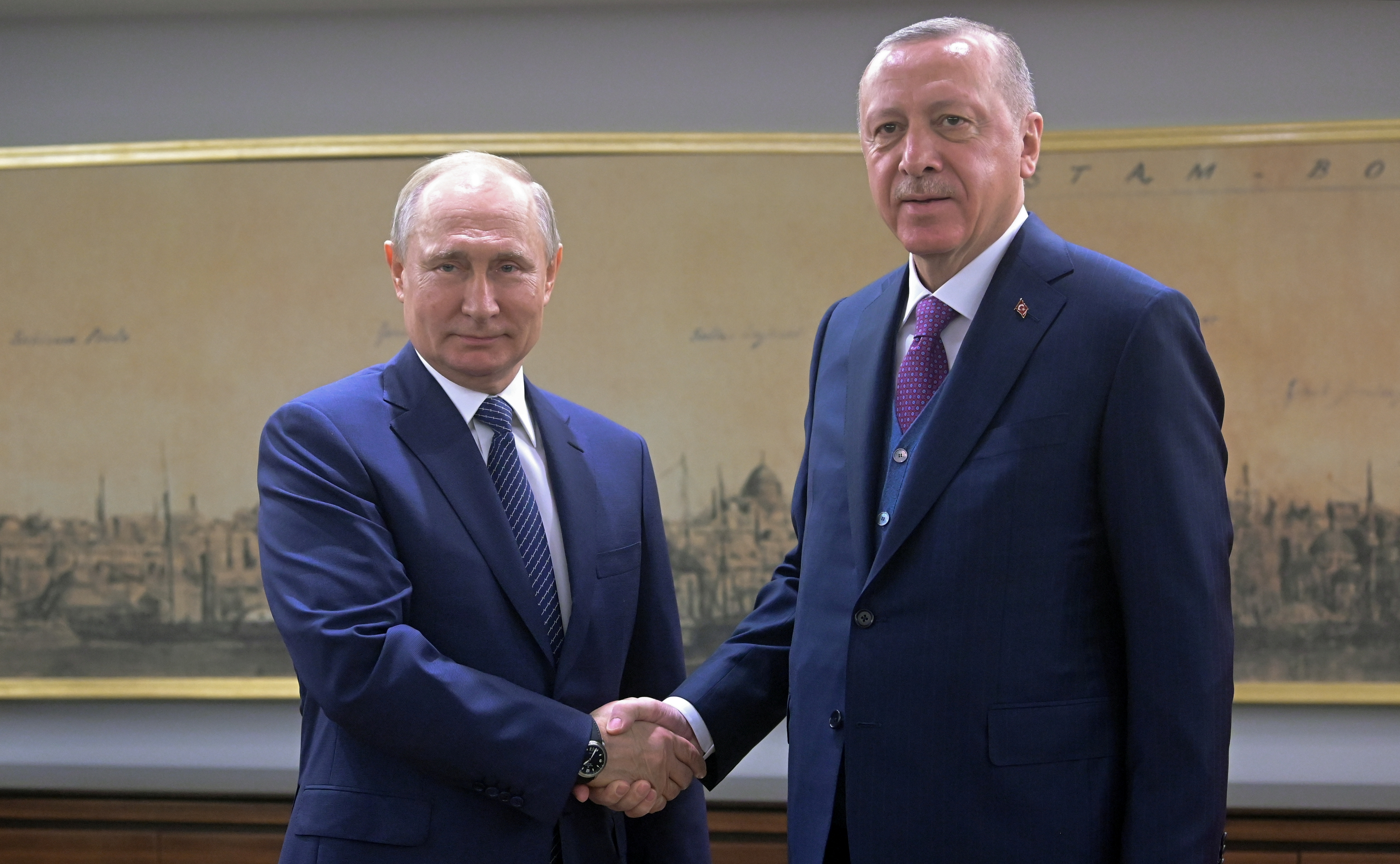 Putin y Erdogan sostuvieron un encuentro a propósito del lanzamiento formal del oleoducto TurkStream que transportará gas natural ruso al sur de Europa a través de Turquía.