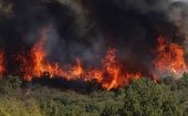 El director ejecutivo de la Conaf, José Manuel Rebolledo, dijo que este 2020 el número de incendios forestales aumentó, levemente, en comparación con 2019.