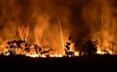 Gran cantidad de ejemplares de la flora y la fauna han sido devorados en Vichada por llamas de hasta 10 metros de altura.