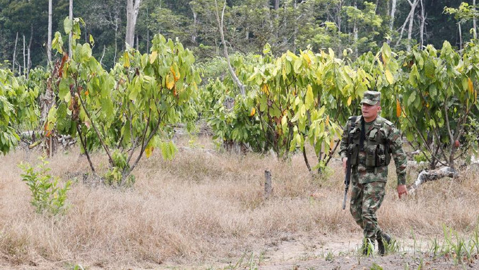 El Ejército colombiano se encuentra desplegado en Catatumbo, para controlar la erradicación forzada de cultivos.