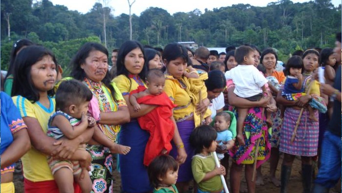 Indígenas Embera Eyábida se ven forzados a abandonar sus residencias en medio del contexto del nuevo coronavirus.