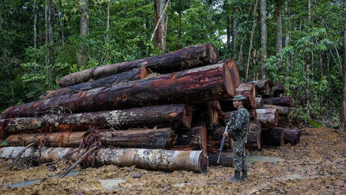 La medida será valida dentro y fuera de las unidades de conservación, tierras indígenas y otra áreas federales en la Amazonía
