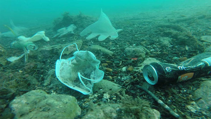 Los desechos de la Covid-19 afectan el ecosistema marino y se unen al resto de la basura plástica que contamina los océanos.