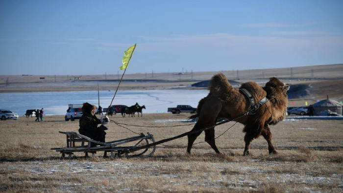 La pasada semana Mongolia informó de dos personas infectadas con peste bubónica, lo que generó que las autoridades decretaran medidas de aislamiento.