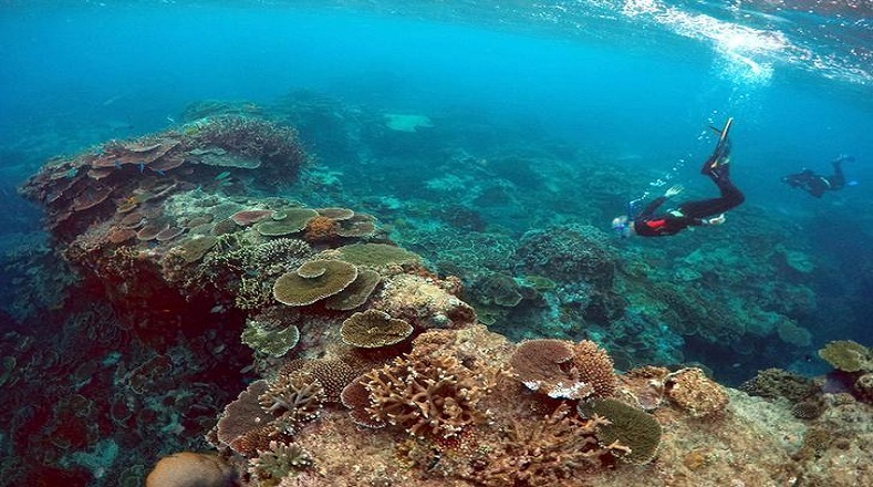 Cuenta con 2.900 arrecifes individuales y 900 islas; es un lugar acogedor para practicar el buceo y conocer sobre los ecosistemas marinos. 