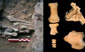 Tras varias excavaciones realizadas en el siglo XX se han hallado al menos 15 restos de neandertales, que tienen características similares con Amud 9.