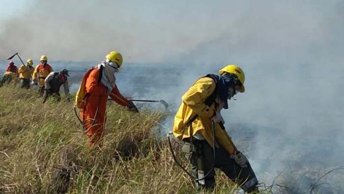 Guardabosques y bomberos trabajan en aplacar las llamas en un parque forestal de Santa Cruz.