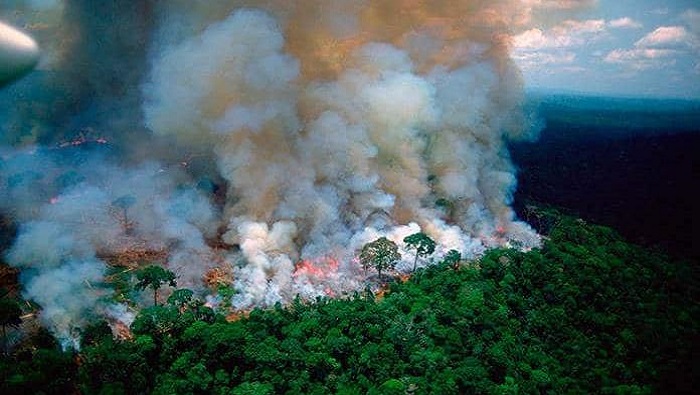 En lo que va de año, se detectaron en el humedal de Pantanal un total de 4.203 focos de incendios.