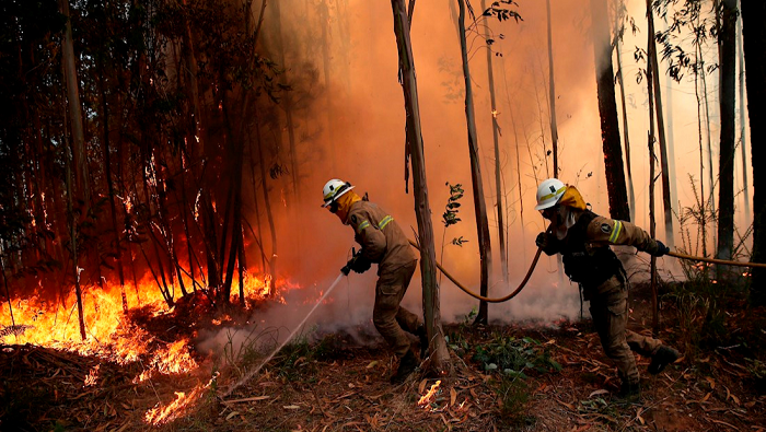 Durante las últimas semanas se detectaro más de 1.700 incendios, divulgó el Instituto Portugués del Mar y la Atmósfera.