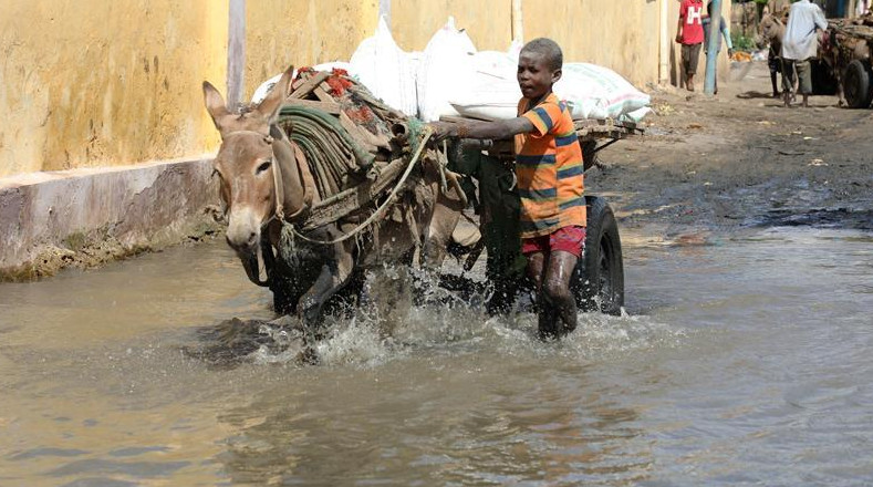 Este tipo de fenómenos afecta periódicamente a la nación africana. Solo en octubre de 2019, 270.000 resultaron desplazadas de sus hogares por las inundaciones.
