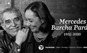 Especialistas en literatura consideran que Barcha Pardo fue el pilar amoroso y solidario de Gabo.